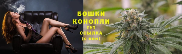 мяу мяу мука Бородино