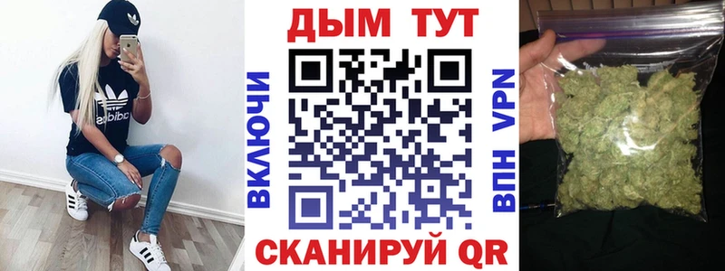 Купить где Карачаевск Бошки Шишки индика